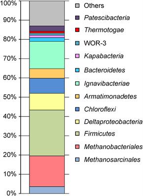 <mark class="highlighted">Microbial Life</mark> in the Deep Subsurface Aquifer Illuminated by Metagenomics